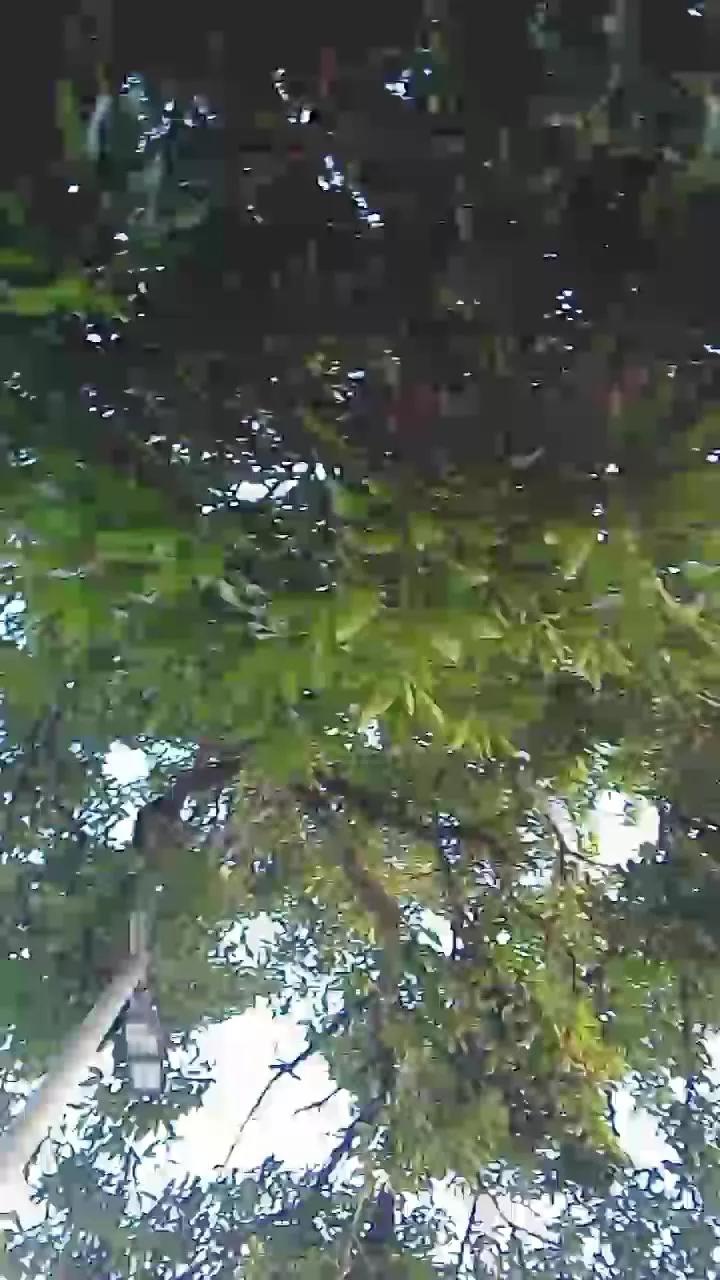 AbrahaoLutador from Cam4