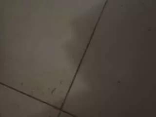 zarazoe from CamSoda
