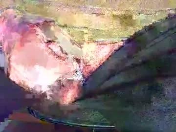 Find your cherished anal broadcaster match with our advanced interactive search and filtering options, allowing you to tailor-make your live event desires.