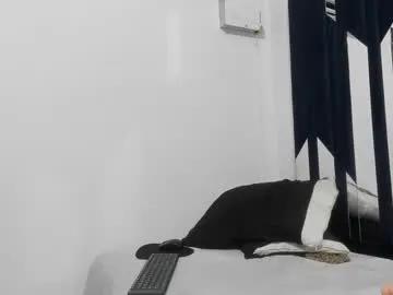 danixht from Chaturbate is Freechat