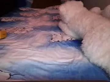 lovemannylon from Chaturbate is Freechat