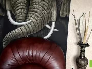 savannahpinet from Chaturbate is Freechat