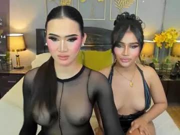 Find your cherished anal broadcaster match with our advanced interactive search and filtering options, allowing you to tailor-make your live event desires.