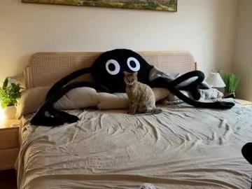 Find your cherished anal broadcaster match with our advanced interactive search and filtering options, allowing you to tailor-make your live event desires.