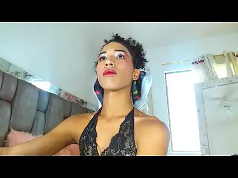barbiepartytrans1 from StripChat is Freechat