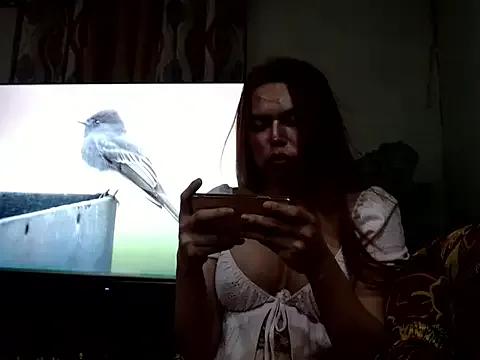 cockDISTROYER69 from StripChat is Freechat
