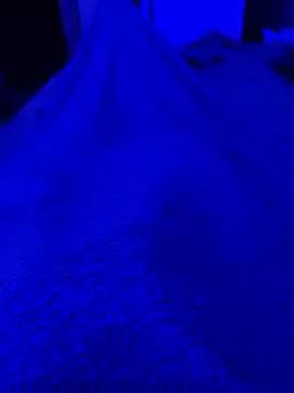 Daddydiggg from StripChat