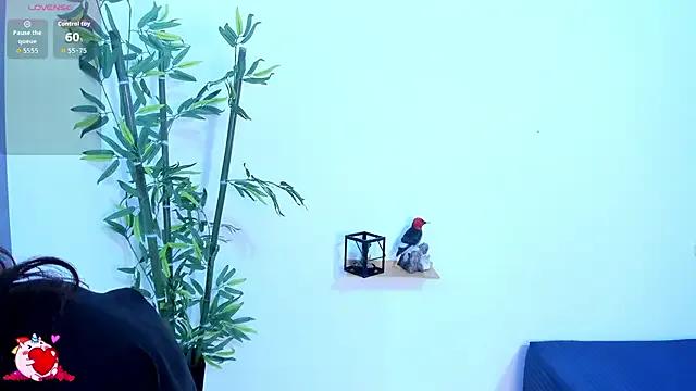 danika_moriii from StripChat is Freechat