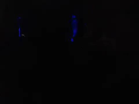 Gabby-Kinky from StripChat is Freechat