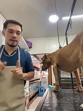 Leonardmoppet from StripChat is Freechat