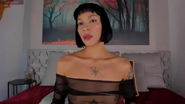 Find your cherished anal broadcaster match with our advanced interactive search and filtering options, allowing you to tailor-make your live event desires.