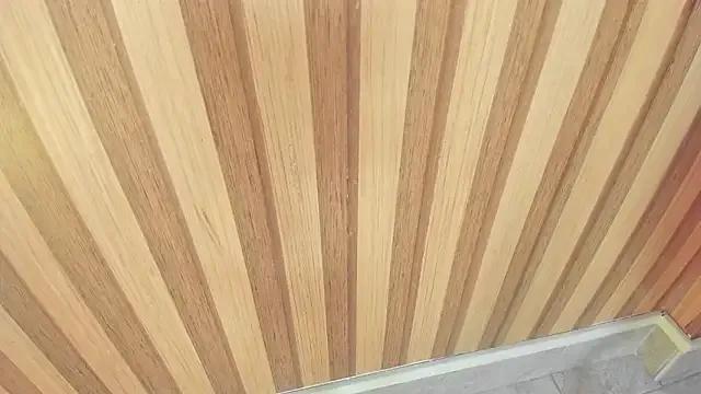 mia__blaze__ from StripChat is Freechat