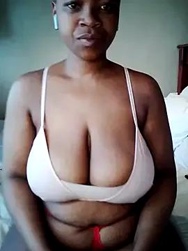 missboobiesSA from StripChat