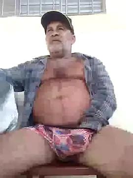 Peludo173317 from StripChat is Freechat