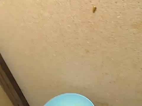 SWEETSEXYBARBIE from StripChat