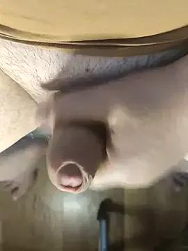 TobyDick13 from StripChat is Freechat