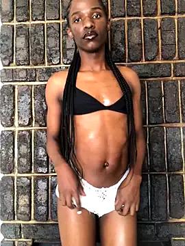 Trans_fairy from StripChat is Freechat