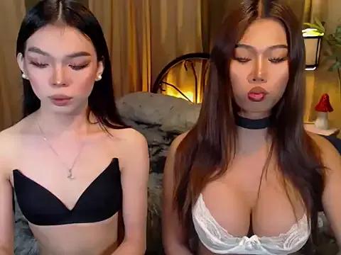 TWINKTRANSSHANEL from StripChat is Freechat